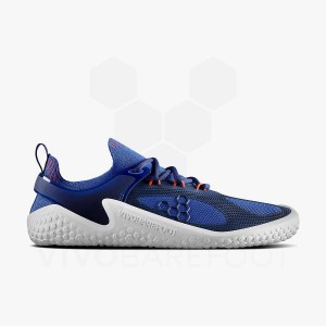 Men's Vivobarefoot Motus Strength Training Shoes Blue / Navy / Orange | IE087DO